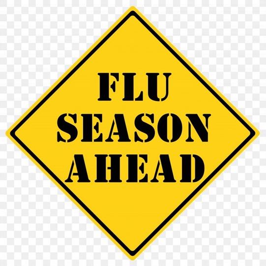 Flu 2